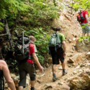 Hikers