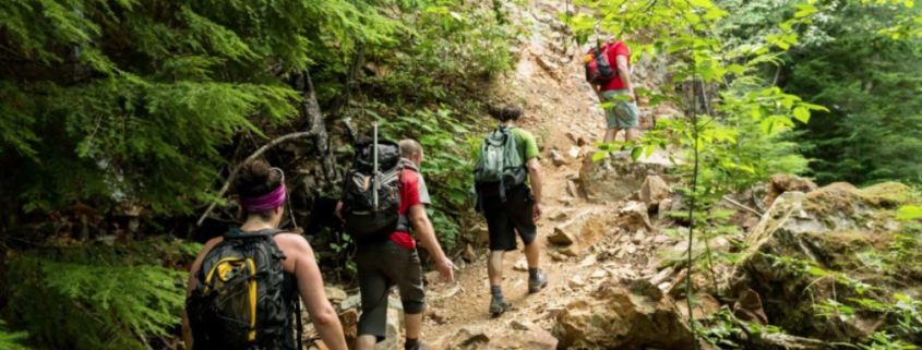 Hikers