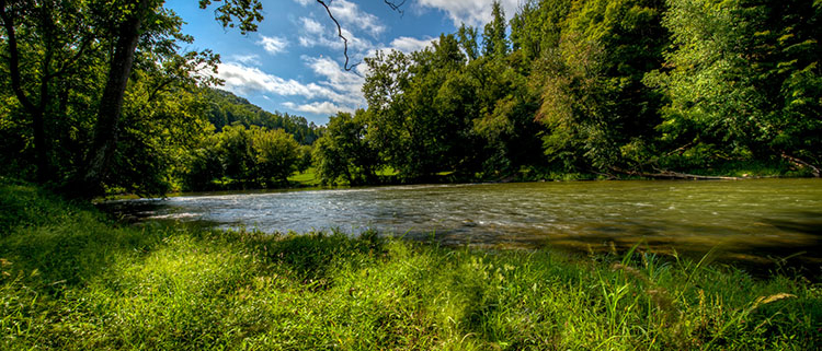Clinch River