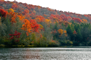 Bark-Camp-Lake