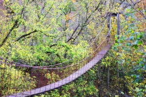 Swinging Bridges of Scott County