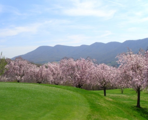 Scott County Golf Course