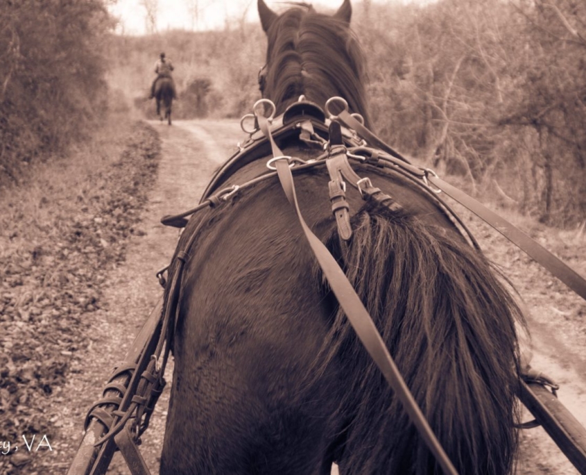 Trail riding with the Scott County Horse Park Association
