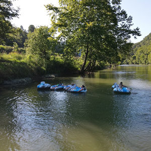 Clinch River Life