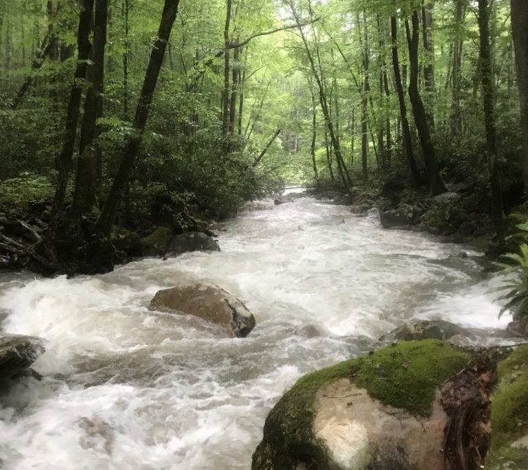 Flash Flood at Devil's Bathtub