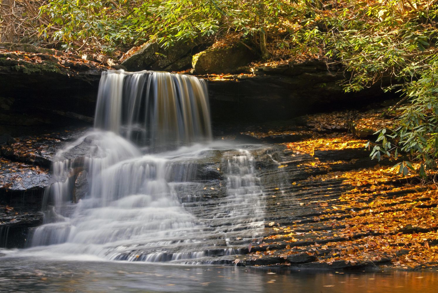 Guest River Gorge Trail