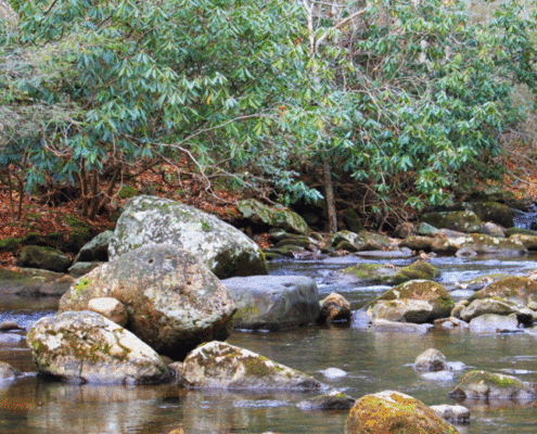 Devils Fork