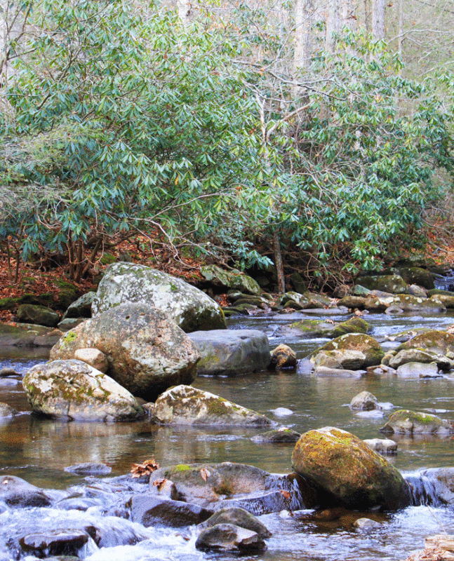 Devil’s Fork Trail Loop