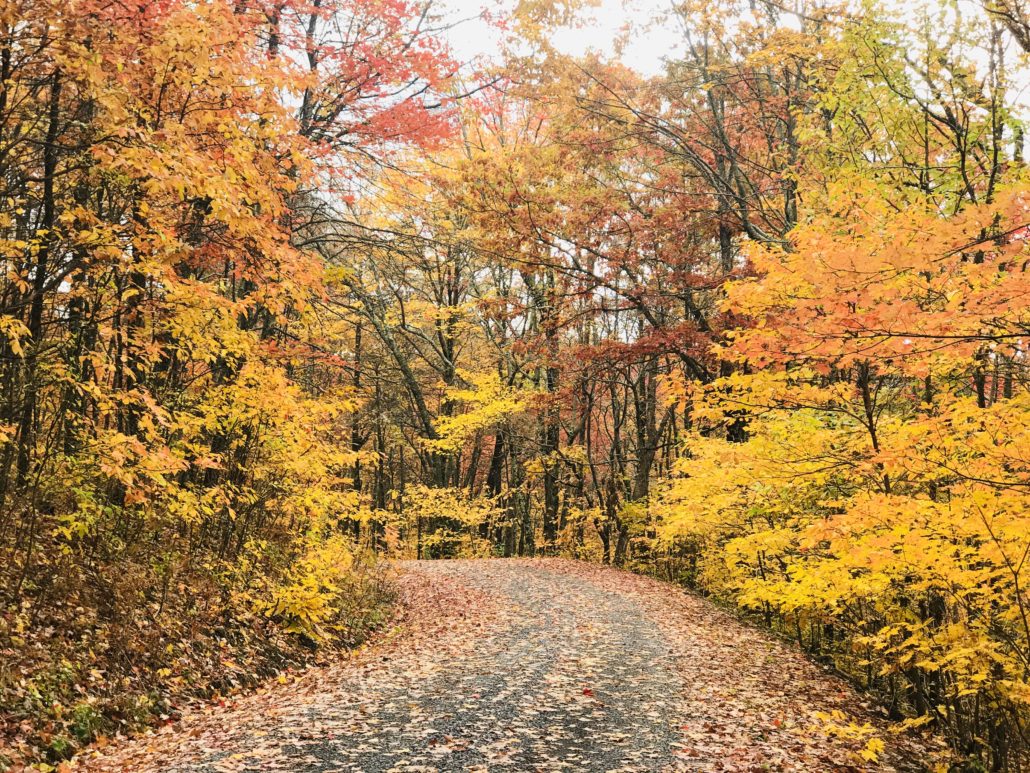 Fall at High Knob