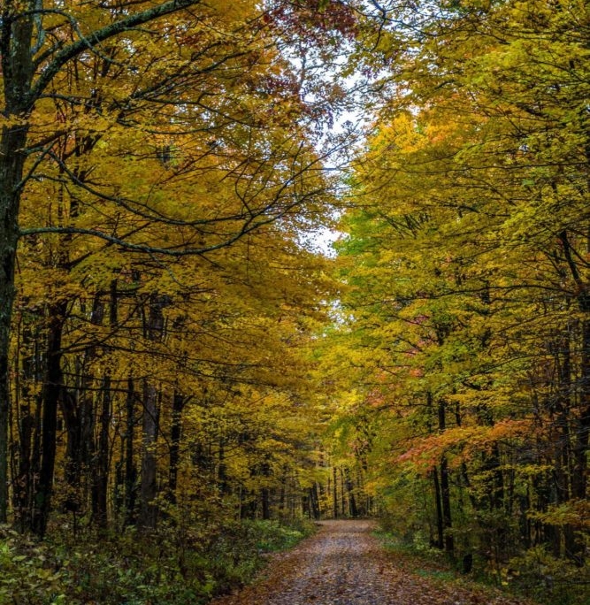Fall at High Knob