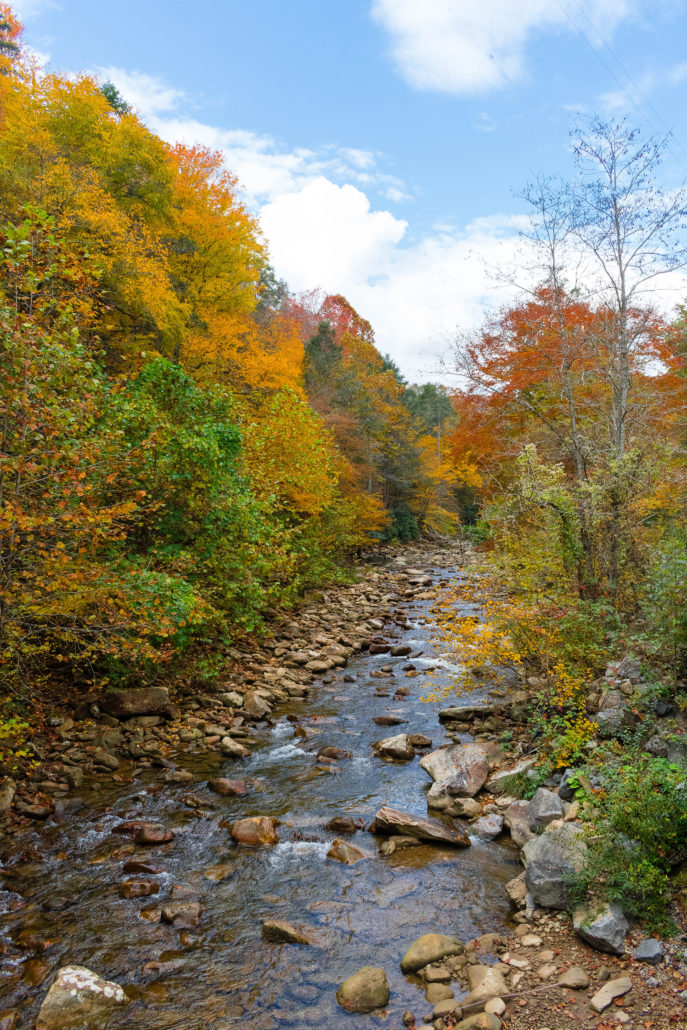 Stony Creek at Devil's Bathtub