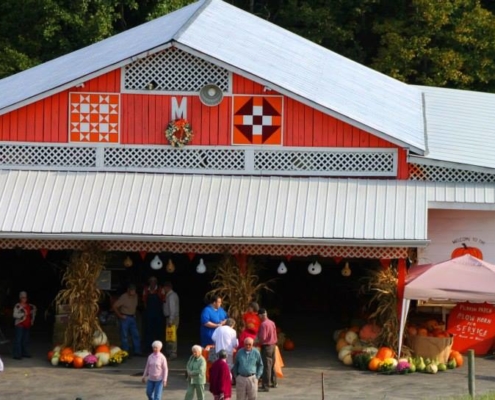 Punkin' Patch