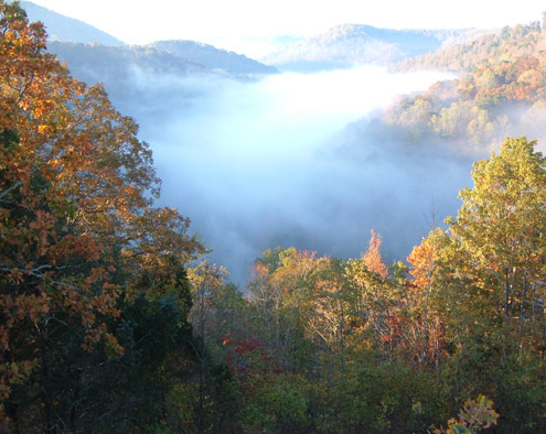 View from Cove Ridge