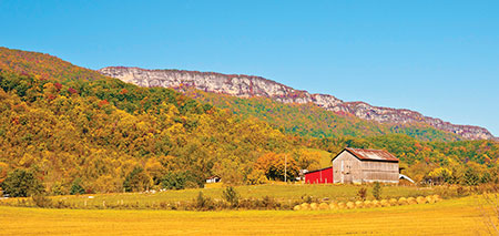 White Cliff Rocks, Ewing, Virginia