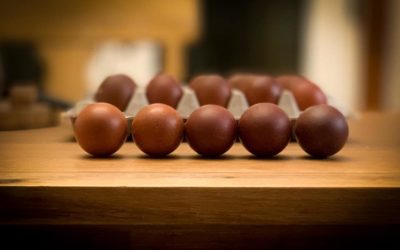Nickelsville’s b2c2 Farms Ships Eggs Nationwide
