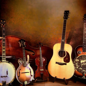 better-bluegrass-music-instruments Guitars and banjos