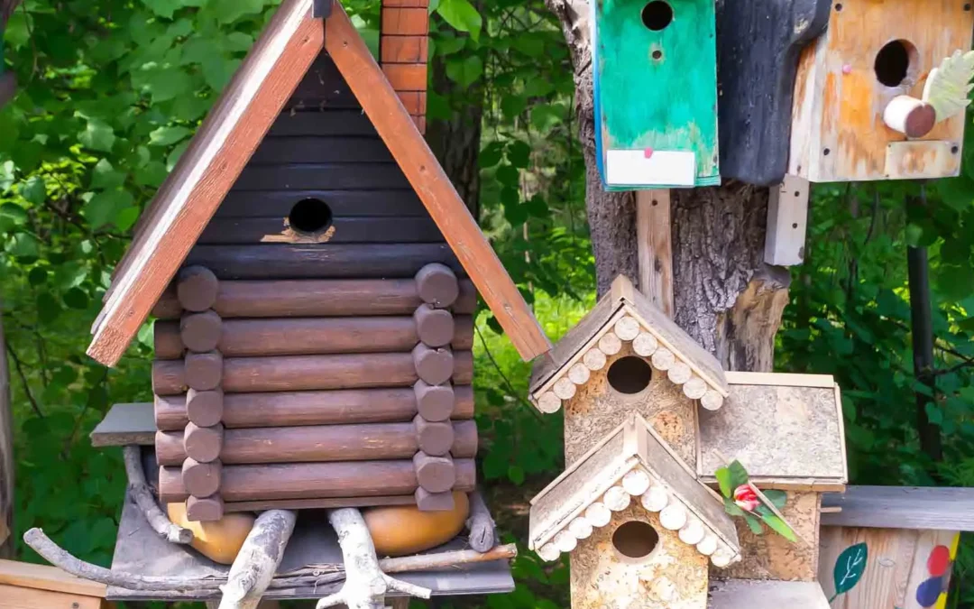 Earth Day — Build a Bird Box