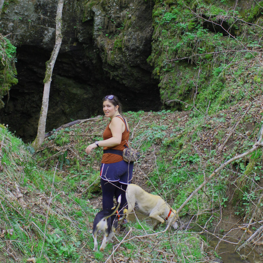 Natural Tunnel State Park Hiking Things To Do Scott County Tourism
