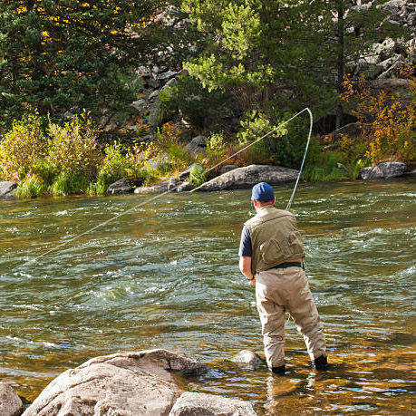 Fly Fishing