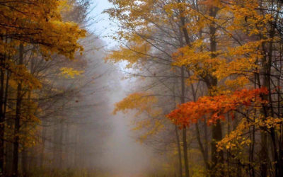 Fall is the Perfect time for a Scott County Roadtrip