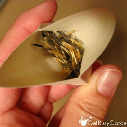 origami seed pods for web Origami Seed Pods