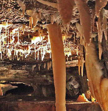 Wild Cave Tour:  Natural Tunnel Caverns